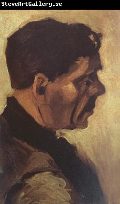 Vincent Van Gogh Head of a Peasant (nn04)